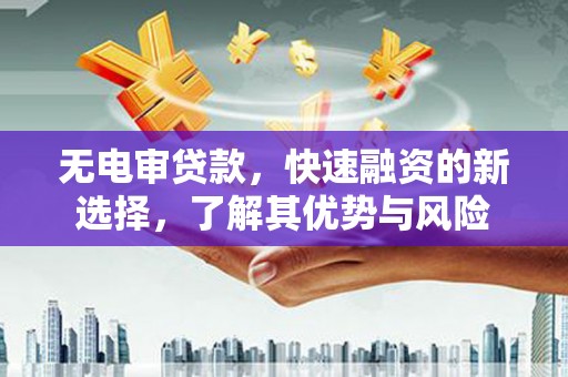 灌南无电审贷款，快速融资的新选择，了解其优势与风险