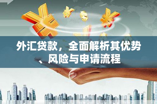 灌南外汇贷款，全面解析其优势、风险与申请流程