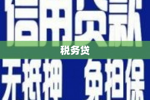 灌南税务贷