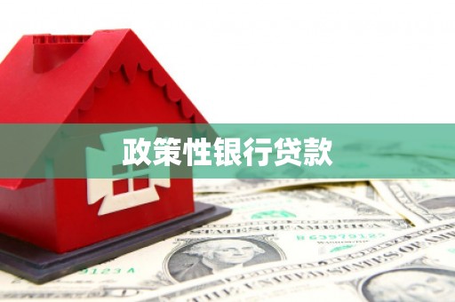 灌南政策性银行贷款