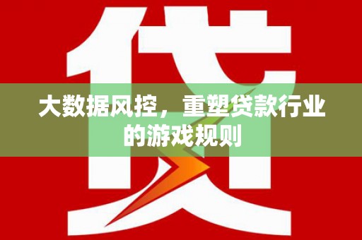 灌南大数据风控，重塑贷款行业的游戏规则