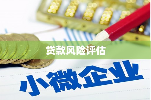 灌南贷款风险评估