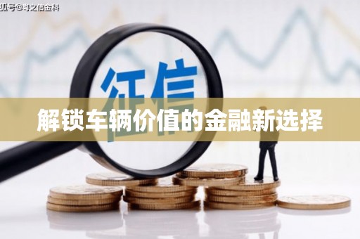 灌南解锁车辆价值的金融新选择