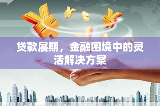灌南贷款展期，金融困境中的灵活解决方案