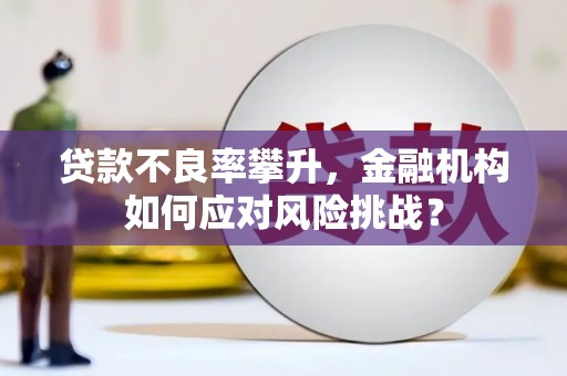 灌南贷款不良率攀升，金融机构如何应对风险挑战？