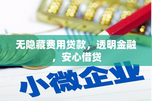 灌南无隐藏费用贷款，透明金融，安心借贷