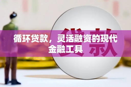 灌南循环贷款，灵活融资的现代金融工具