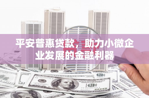 灌南平安普惠贷款，助力小微企业发展的金融利器