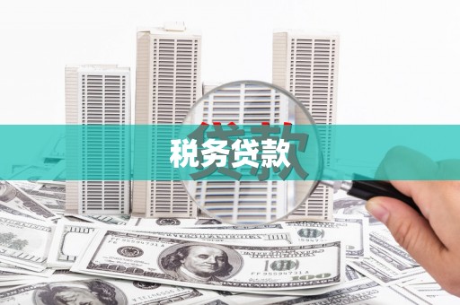 灌南税务贷款