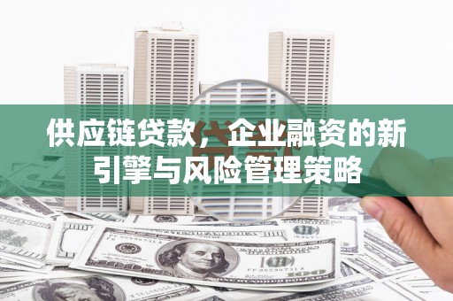 灌南供应链贷款，企业融资的新引擎与风险管理策略