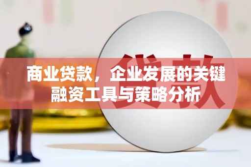 灌南商业贷款，企业发展的关键融资工具与策略分析
