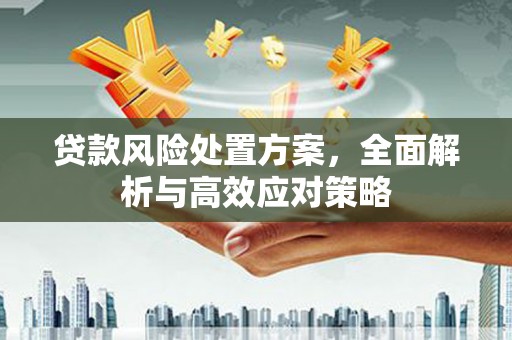 灌南贷款风险处置方案，全面解析与高效应对策略