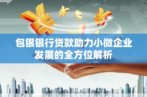 灌南包银银行贷款助力小微企业发展的全方位解析