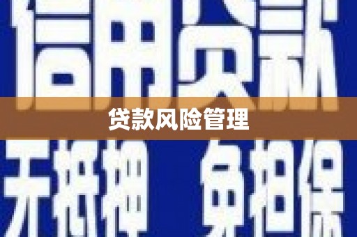 灌南贷款风险管理