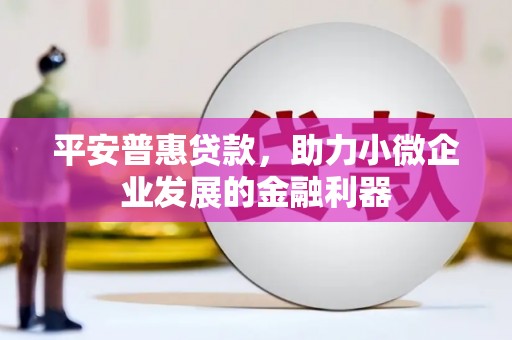 灌南平安普惠贷款，助力小微企业发展的金融利器