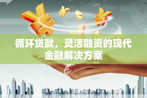 灌南循环贷款，灵活融资的现代金融解决方案
