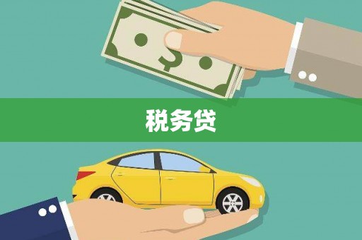 灌南税务贷