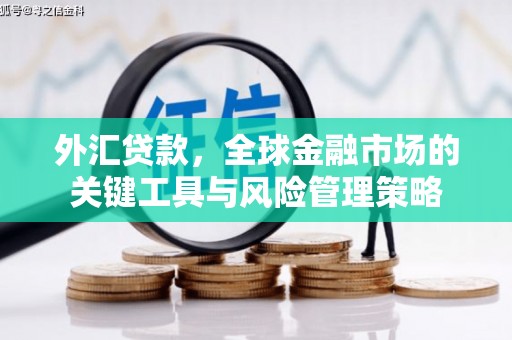 灌南外汇贷款，全球金融市场的关键工具与风险管理策略