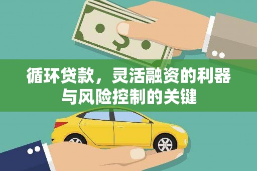灌南循环贷款，灵活融资的利器与风险控制的关键