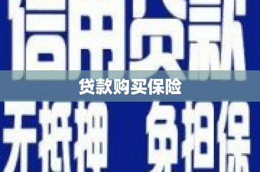 灌南贷款购买保险