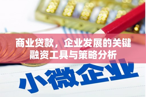 灌南商业贷款，企业发展的关键融资工具与策略分析
