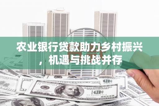灌南农业银行贷款助力乡村振兴，机遇与挑战并存