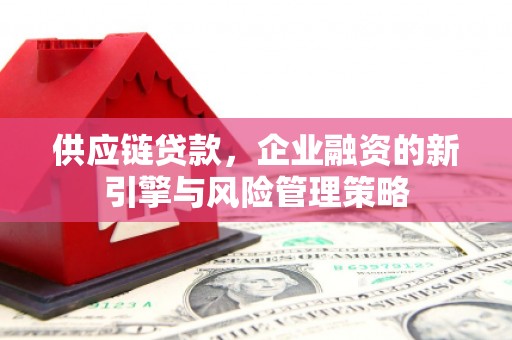 灌南供应链贷款，企业融资的新引擎与风险管理策略
