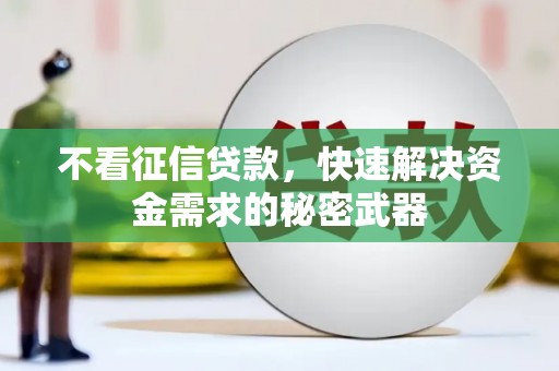 灌南不看征信贷款，快速解决资金需求的秘密武器