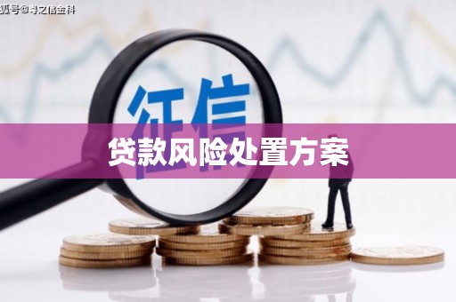 灌南贷款风险处置方案