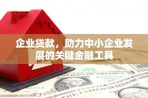 灌南企业贷款，助力中小企业发展的关键金融工具