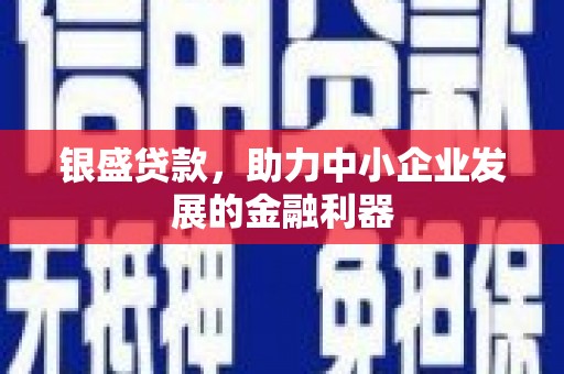 灌南银盛贷款，助力中小企业发展的金融利器