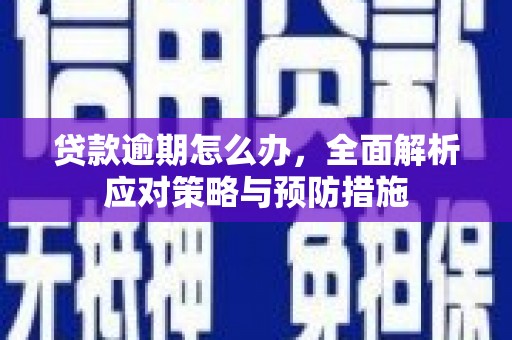 灌南贷款逾期怎么办，全面解析应对策略与预防措施
