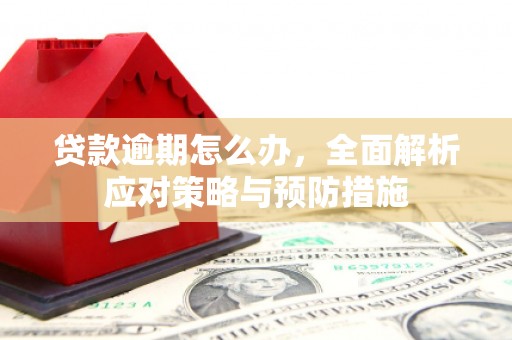 灌南贷款逾期怎么办，全面解析应对策略与预防措施