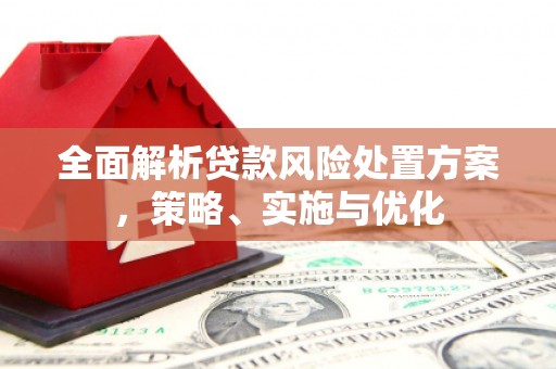 灌南全面解析贷款风险处置方案，策略、实施与优化