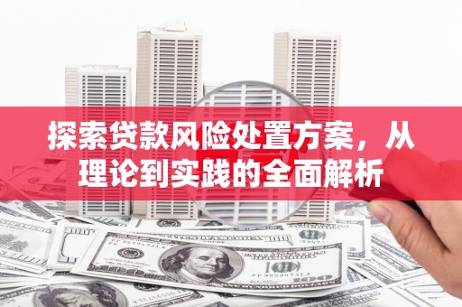 灌南探索贷款风险处置方案，从理论到实践的全面解析