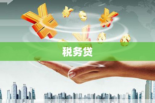 灌南税务贷
