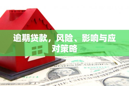 灌南逾期贷款，风险、影响与应对策略