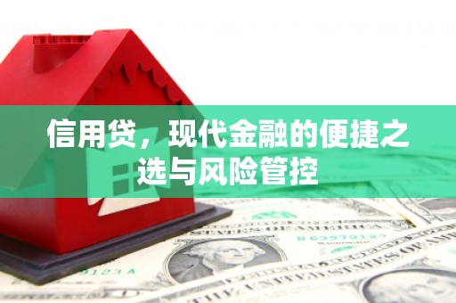 灌南信用贷，现代金融的便捷之选与风险管控