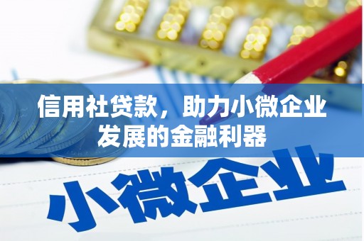 灌南信用社贷款，助力小微企业发展的金融利器
