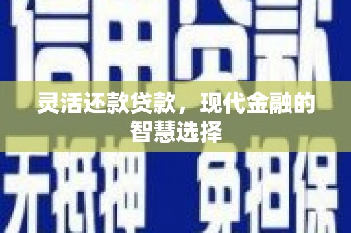 灌南灵活还款贷款，现代金融的智慧选择