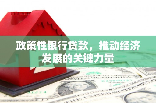灌南政策性银行贷款，推动经济发展的关键力量