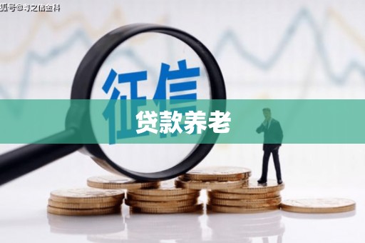 灌南贷款养老