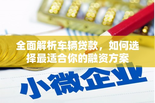 灌南全面解析车辆贷款，如何选择最适合你的融资方案