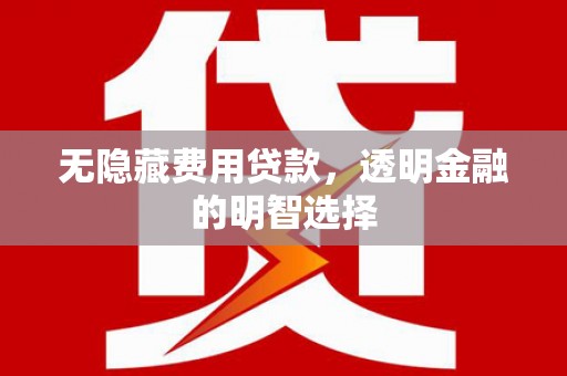 灌南无隐藏费用贷款，透明金融的明智选择