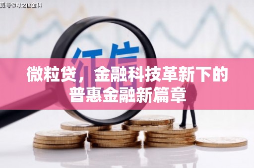 灌南微粒贷，金融科技革新下的普惠金融新篇章
