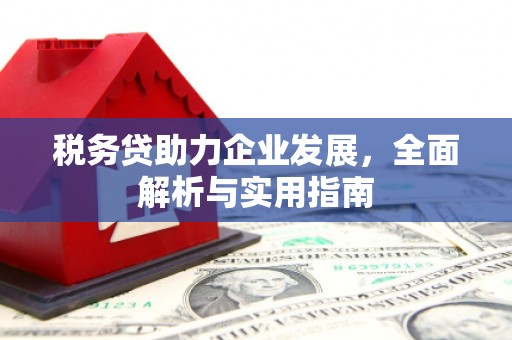 灌南税务贷助力企业发展，全面解析与实用指南