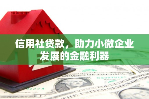 灌南信用社贷款，助力小微企业发展的金融利器