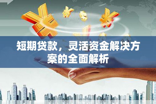 灌南短期贷款，灵活资金解决方案的全面解析