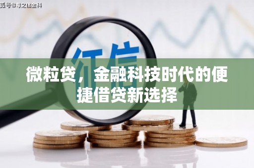 灌南微粒贷，金融科技时代的便捷借贷新选择