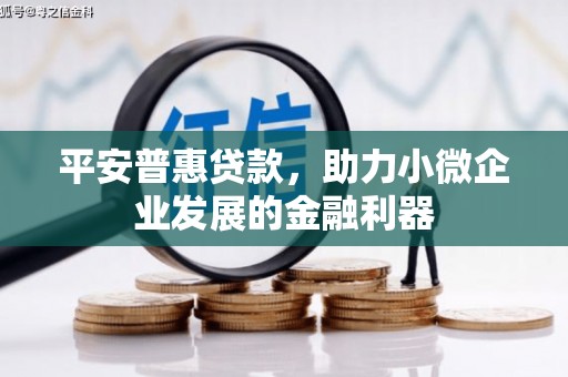 灌南平安普惠贷款，助力小微企业发展的金融利器